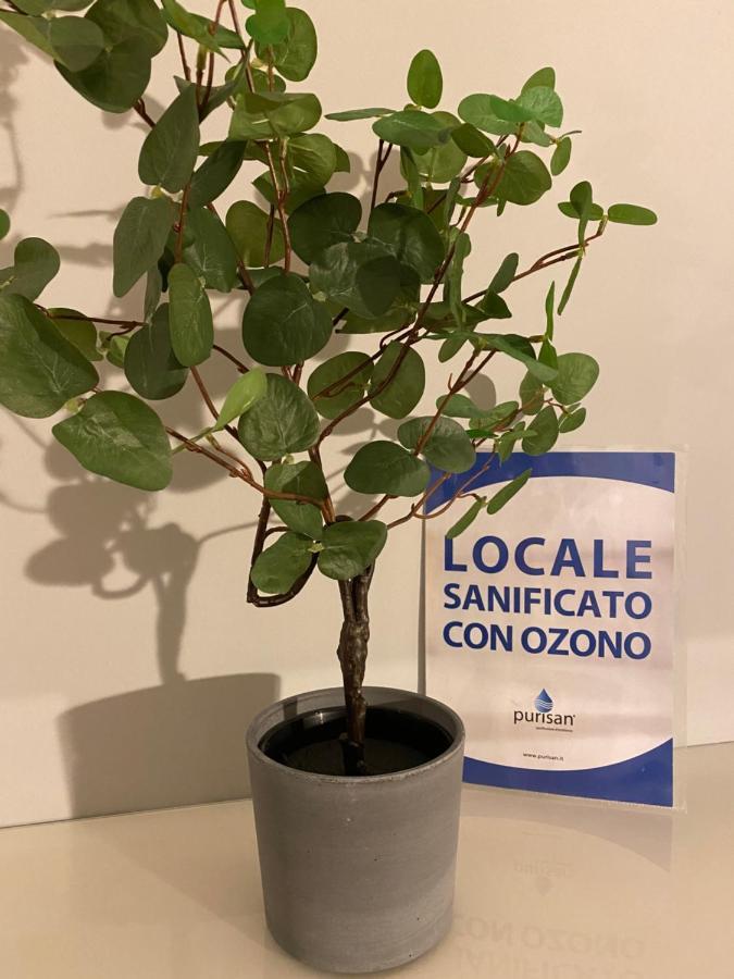 Appartamento Valeriana Dubino Экстерьер фото
